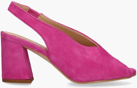 Altramarea Rosette Roze