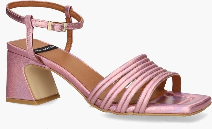 Angel Alarcon Astro Roze - Foto 1