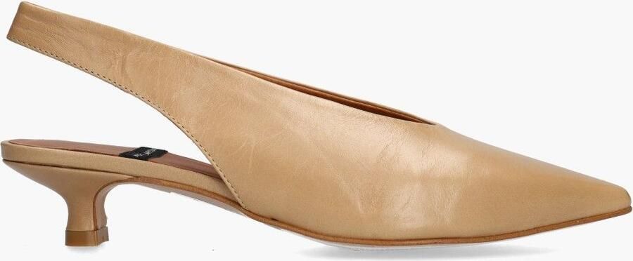 Angel Alarcon Sonia Bruin