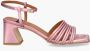 Angel Alarcon Astro Roze - Thumbnail 2