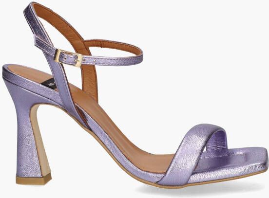 Angel Alarcon Galaxy Lila