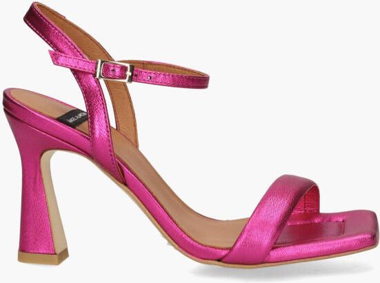 Angel Alarcon Galaxy Roze