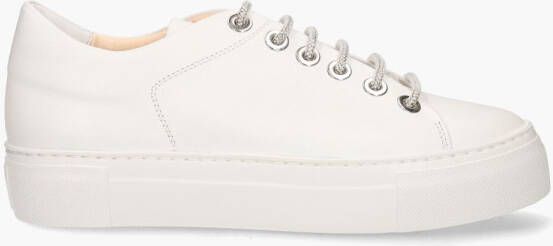 Agl Attilio Giusti Crystal Wit