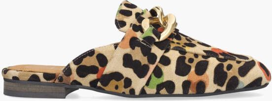 Babouche Tianna Multicolor