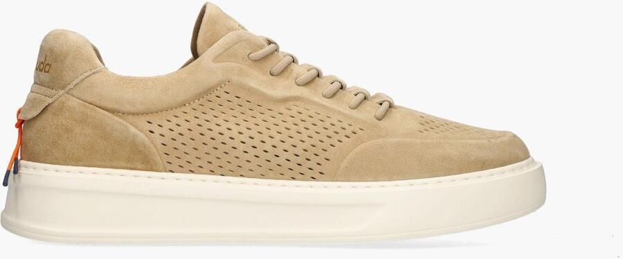 Barracuda Phoenix Beige