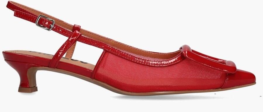 Bibi Lou Bonnie Rood