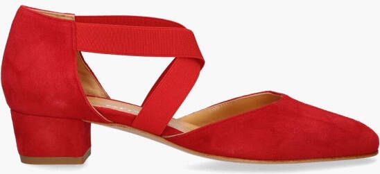 Cypres 03484 Rood