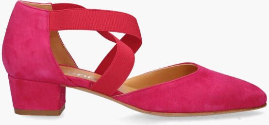 Cypres 03484 Roze