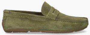 Cypres 2110048 Groen