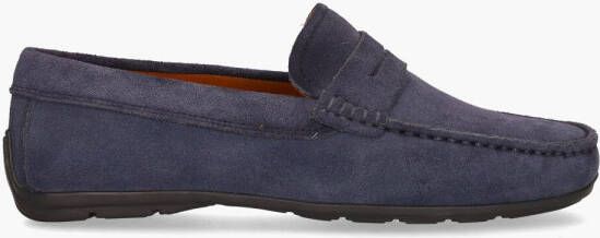 Cypres 3276 Blauw