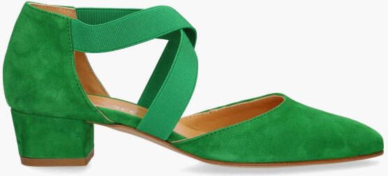Cypres 3484 Groen