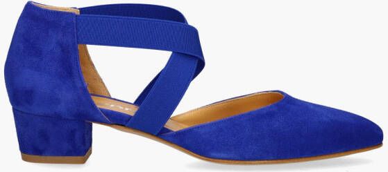 Cypres 3484 Kobaltblauw