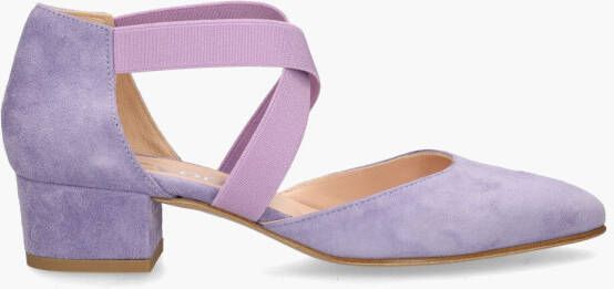 Cypres 3484 Lila