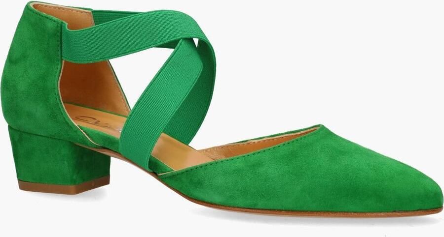 Cypres 03484 Groen - Foto 2