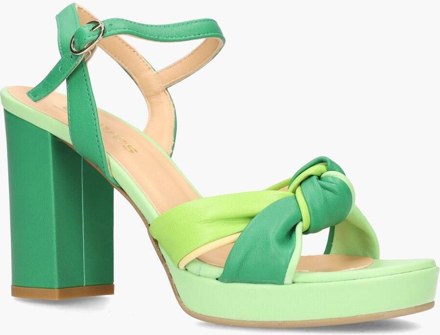 Cypres Franco Russo 5718 Groen