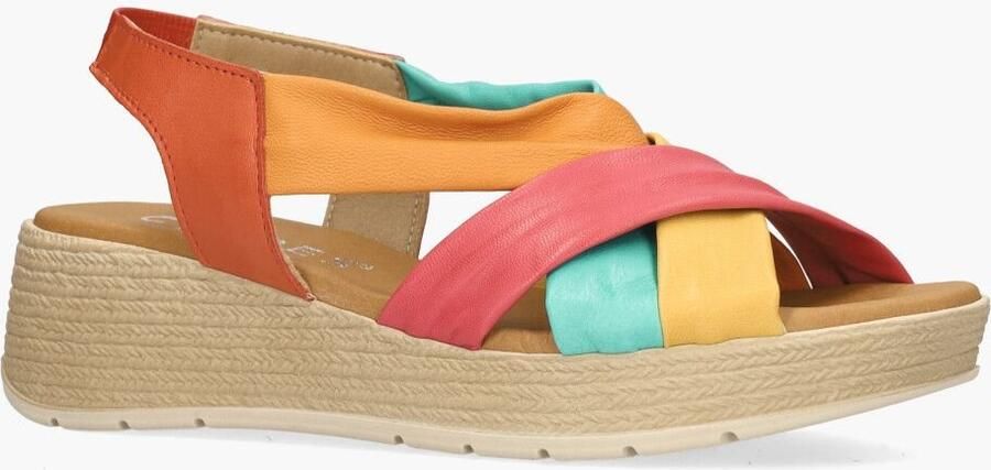 Cypres Aires Multicolor