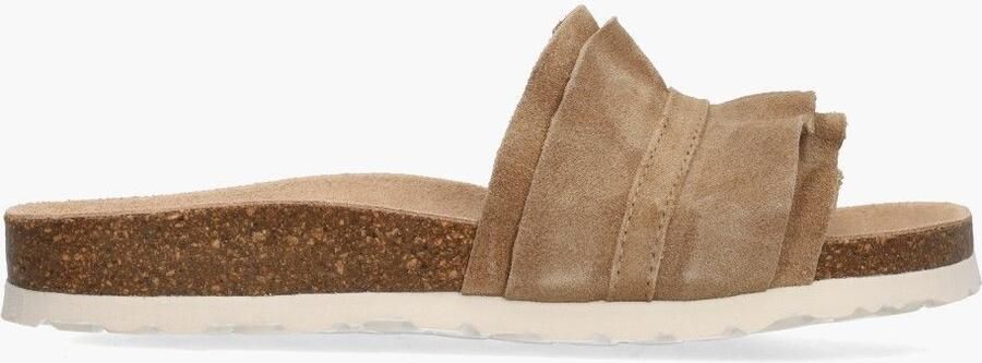 Cypres Canadian John Zane Bruin