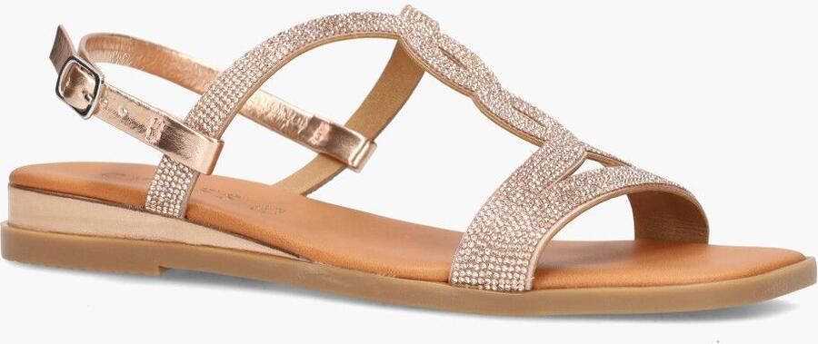 Cypres hi Roségoud - Foto 2