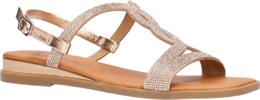 Cypres hi Roségoud - Foto 2