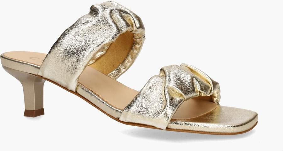 Cypres Odessa Goud - Foto 2