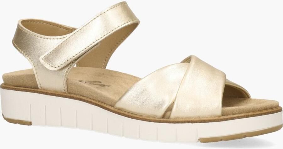 Cypres Olaya Goud - Foto 2