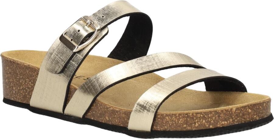 Cypres Rodie Goud - Foto 3