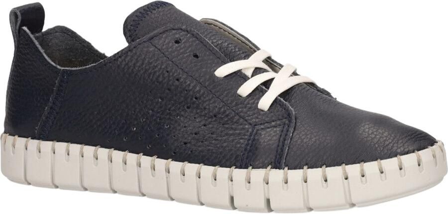 Cypres Roshan Donkerblauw - Foto 2