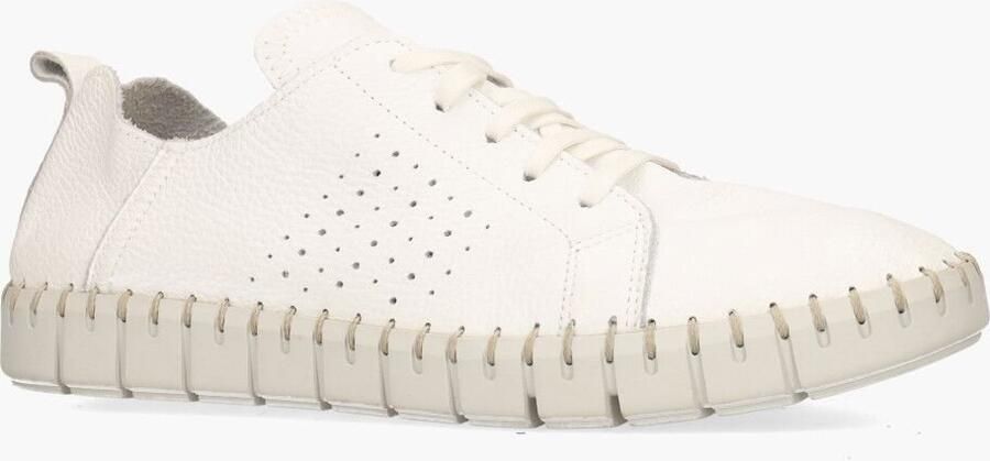 Cypres Roshan Wit - Foto 2