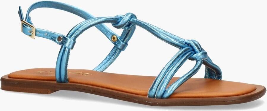 Cypres Royana Blauw - Foto 2