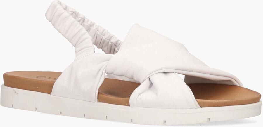 Cypres Metin Rubina Wit