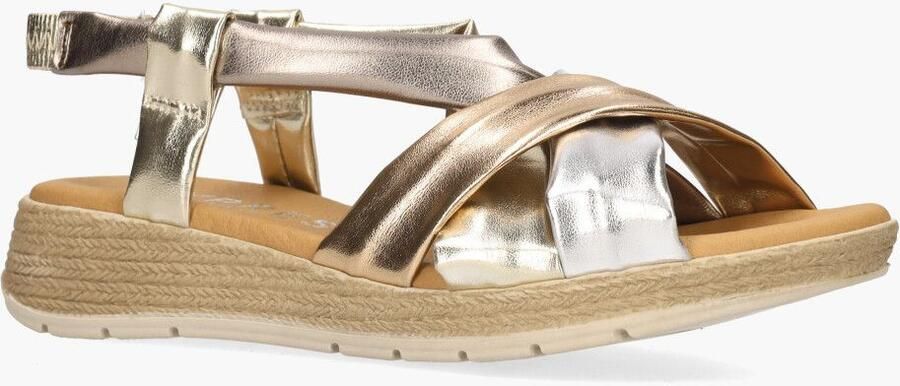 Cypres Tampi Goud Zilver Brons