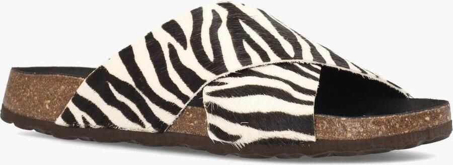 Cypres Best Partner Consult Teddy Wit Zwart - Foto 2