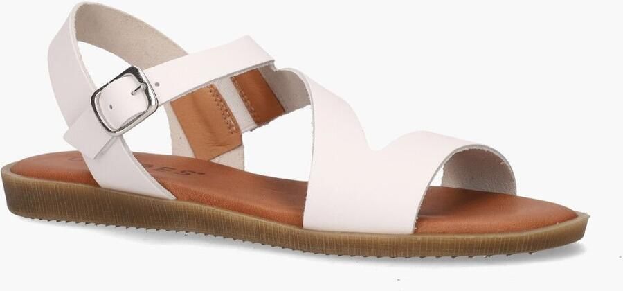 Cypres Teuni Wit - Foto 3