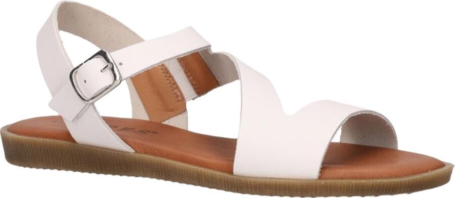 Cypres Teuni Wit - Foto 4