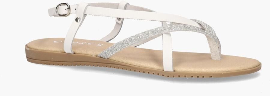 Cypres Tippy Wit Zilver - Foto 2