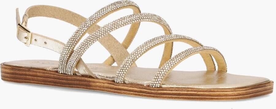 Cypres Tojana Goud - Foto 2