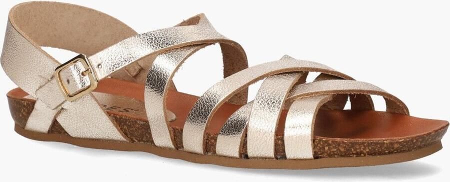 Cypres Twanny Goud - Foto 2