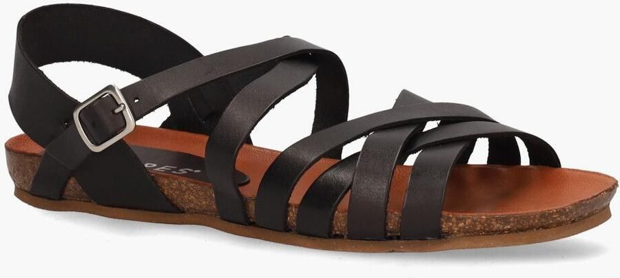 Cypres Twanny Zwart - Foto 2