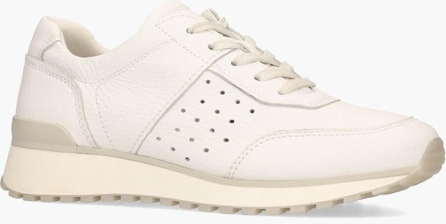 Cypres Caprice Tylia Wit