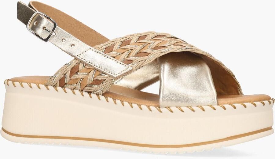 Cypres Werna Goud - Foto 2