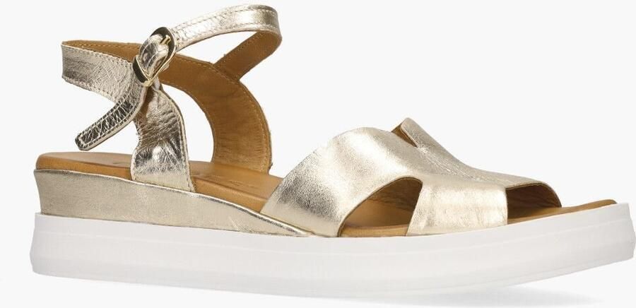 Cypres Metin Wieke Goud - Foto 2