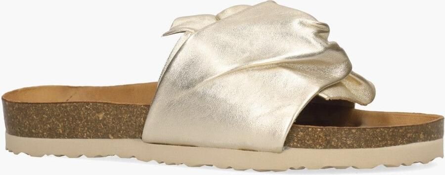 Cypres Wosy Goud - Foto 2