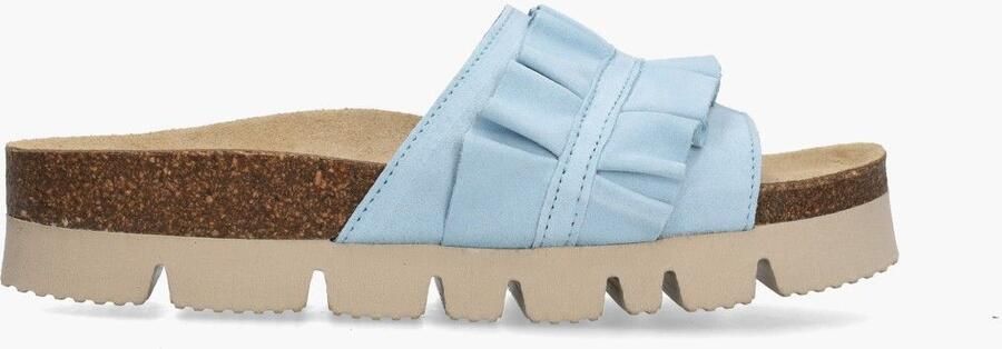 Cypres Zarya Lichtblauw