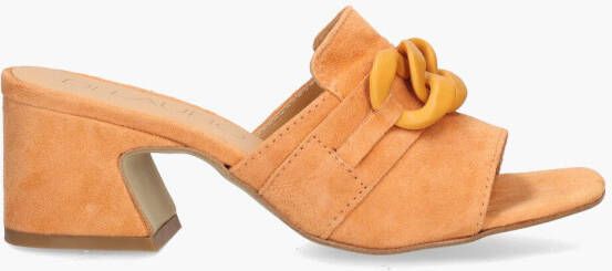 Cypres Rebelle Oranje