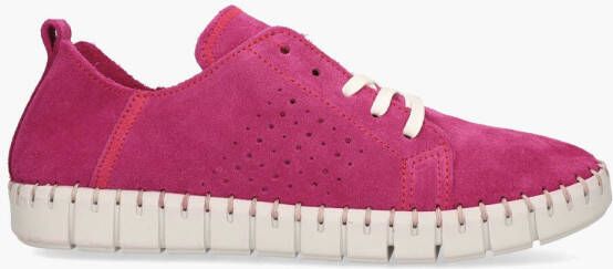 Cypres Roshan Roze