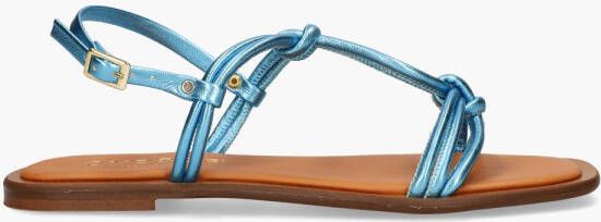 Cypres Royana Blauw