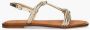 Cypres Royana Goud - Thumbnail 2