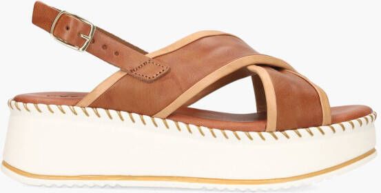 Cypres Ryela Cognac