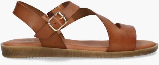 Cypres Teuni Cognac