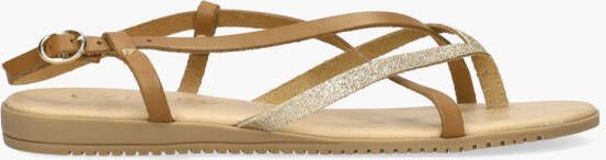 Cypres Tippy Cognac Goud